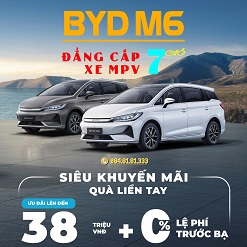 Mẫu xe phục vụ cho Công ty